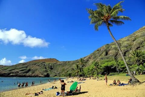 Гавайские острова, Оаху, август 2013. * Форум Винского