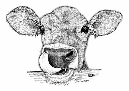 Who Needs a Tissue Animal drawings, Art sketchbook, Cow art