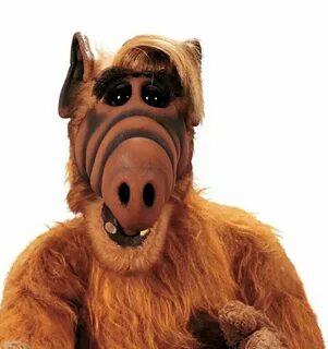 Pin by Joel Nascimento on cool classics Alf, 80 tv shows, 90