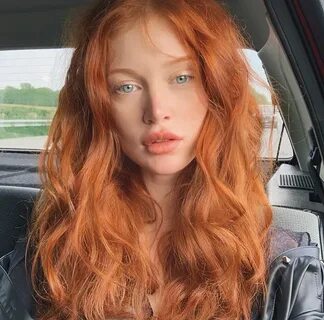 Red ginger photos