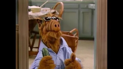 Alf quote season 1 episode 3 старый добрый рок'н'ролл watch 