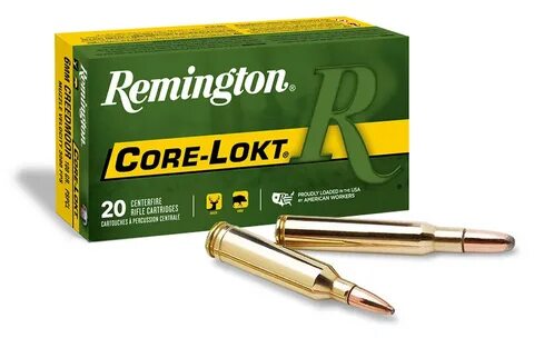 Remington Core-Lokt .30-06 Springfield 180 Grain Core-Lokt S