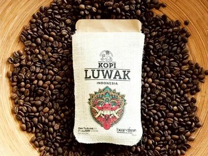 Top Ide 15+ Kopi Luwak Indonesia