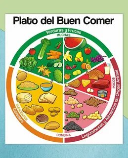 ILLUSTRATION / ILUSTRACIÓN Plato del Buen Comer on Behance P