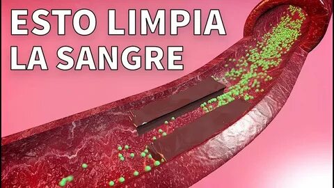 Cómo Limpiar La Sangre 5 Alimentos Para Desintoxicar La Sang