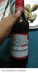 Budcoweir Diweis ** Budwelser Beer We Know of No Brand Produ