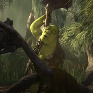 Adult Rewatch Of Shrek