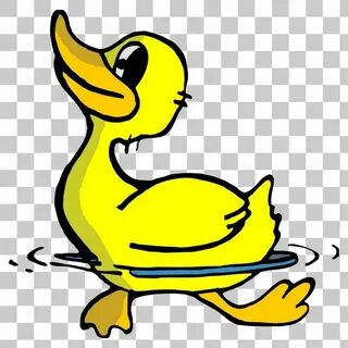 Duck Goose Swan Bird PNG Image With Transparent Background P