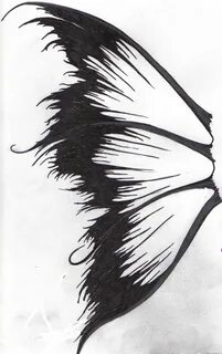 fairy wings Fairy drawings, Wings drawing, Fairy wing tattoo