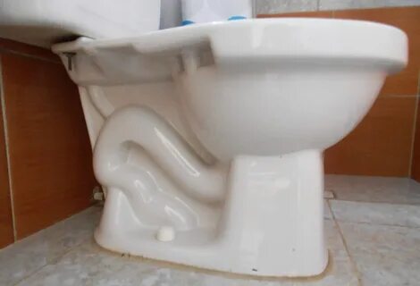 File:Flush toilet bowl 4.jpg - Wikimedia Commons