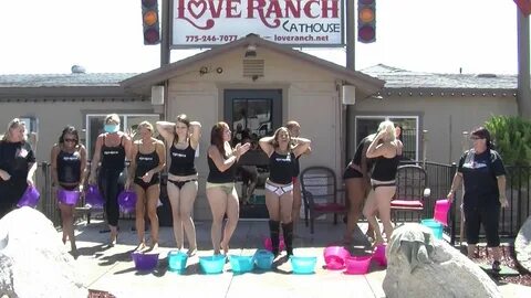 https://nudetits.org/bunny+love+bunny+ranch