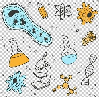 Biology Science Laboratory Chemistry PNG - area, arrangement
