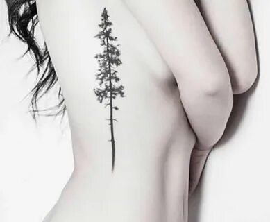 Natura tatuaże Nature tattoos, Evergreen tree tattoo, Tattoo