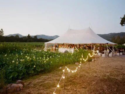 Pin by Omar Lopez on weddings get phunky?! Wine country wedd