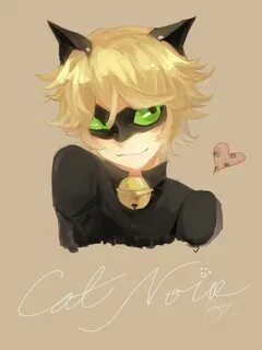 The next Ladybug Chat Noir X reader Fotos de cat noir, Cat n