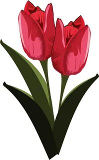 Tulip Free To Use Clip Art - Public Domain Free Clip Art Flo