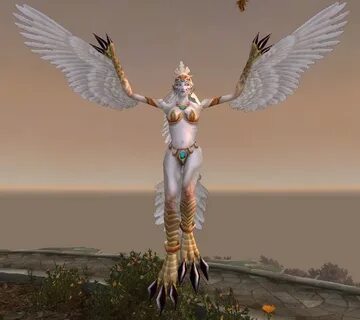 Aviana - NPC - World of Warcraft