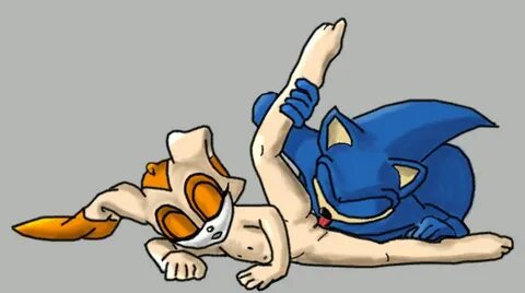 Sonic hedgehog porn gifs - 3/13 - Hentai Image