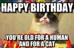58 Grumpy Cat Birthday Wishes