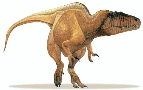 Ekrixinatosaurus novasi v Sauroniops pachytholus