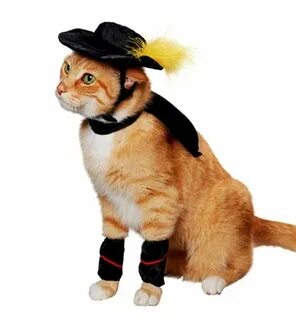 Kitty! Pet halloween costumes, Pet costumes, Cat costumes