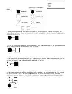 Answer Key Pedigree Worksheet Interpreting A Human Pedigree 