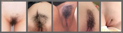 Pubic styling is not in the mainstream in Japan to the extent that it is in...