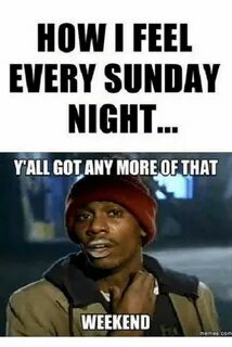 Sunday Night Blues Funny sunday memes, Sunday humor, Funny p