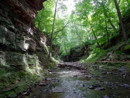 Pewit's Nest Gorge (Baraboo) - 2020 All You Need to Know BEF