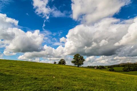 Landscape,nature,tree,seasons,spring - free image from needp