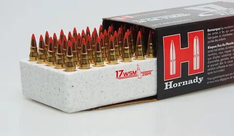 Winchester 17WSM Lead Free Ammunition Review - Part One & Tw