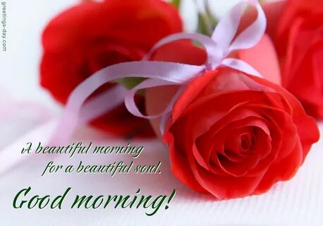 Good Morning Beautiful - Daily Ecards & Pictures.