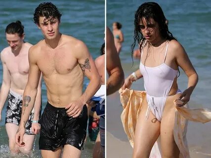 Shawn Mendes And Camila Cabello Relationship 2021 - Shawn Me