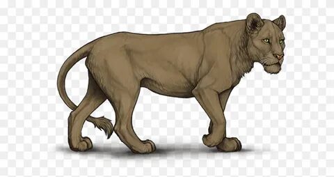 Dekorasi Cubs Lioden Lion Indah Dekorasi Cubs Parhelion Tubu