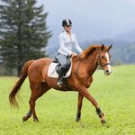 Buy western horse riding clothes cheap online