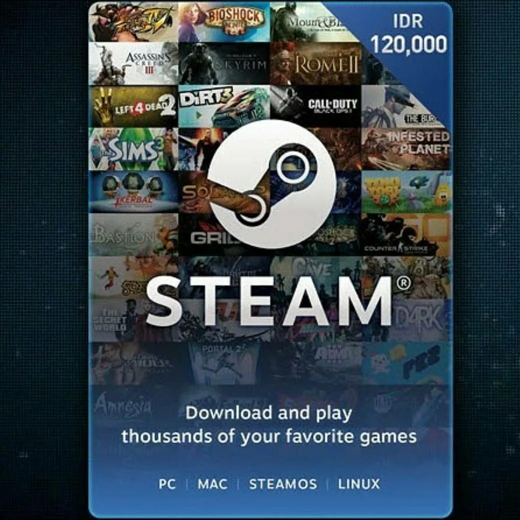 Steam rom фото 77