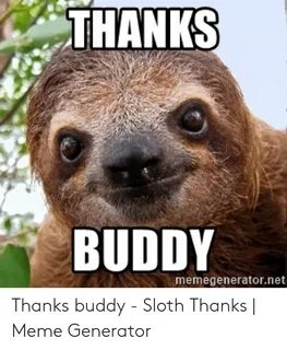 THANKS BUDDY Memegeneratornet Thanks Buddy - Sloth Thanks Me