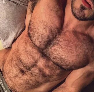 GHM (@gay_hairy_men) Twitter (@BadBear791) — Twitter