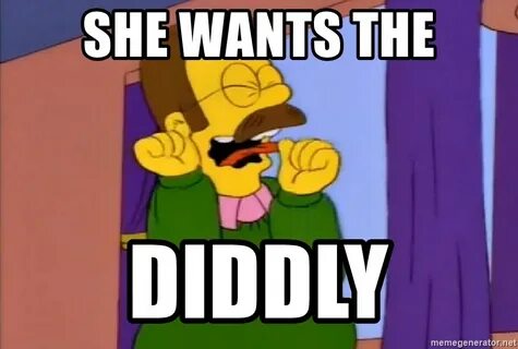 She wants the diddly - Ned Flanders Screams Like A Girl Meme