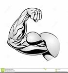 Flexing Arm Muscle Drawing Related Keywords & Suggestions - 