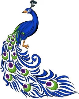 Image - Peacock Drawing With Colour - (1024x1365) Png Clipar