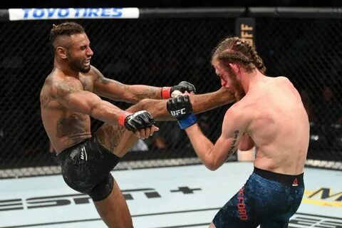 Лучшие нокауты от UFC Tampa Fighters - Реальные драки и скан