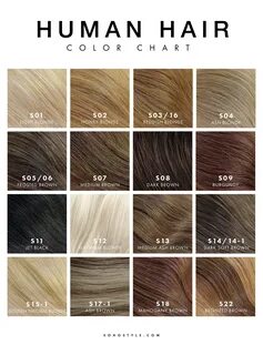 Gallery of 3 amazing hair colour charts from your most trust