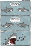 Fish Puns - Punpedia Shark puns, Sharks funny, Fish puns