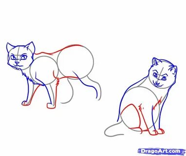 Warrior cat drawings, Warrior cats, Drawings