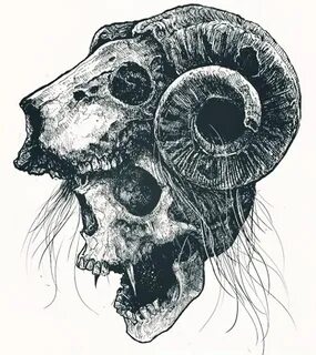 Ram Skull Dark art tattoo, Skulls drawing, Skull drawing