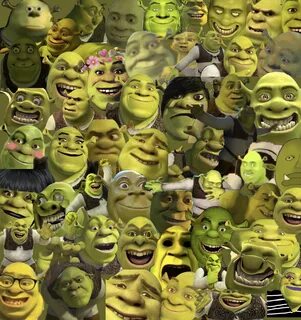 Pin by Clown Baby on Shrek Shrek, Funny profile pictures, Fu