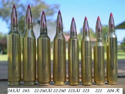 Best Primers For 338 Lapua - WINGFIELDSCLEANINGSERVICE.COM B