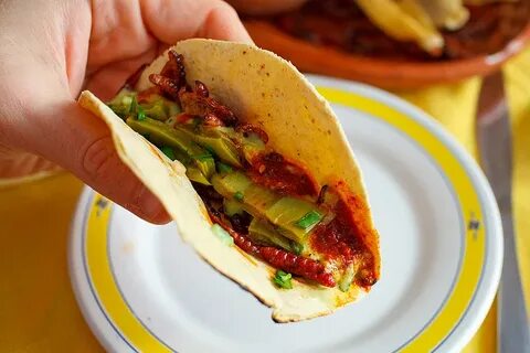 1808 best r/tacos images on Pholder Homemade Chicken Tacos w