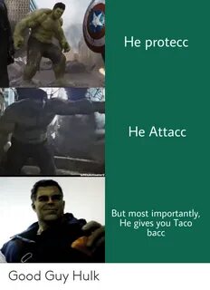 He Protecc He Attacc uHisAnteater2 but Most Importantly He G